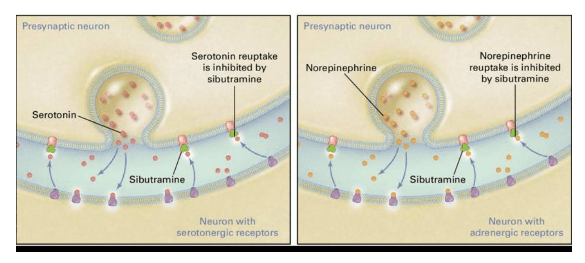 Schéma inhibície spätného vychytávania neurotransmiterov serotonínu a noradrenalínu